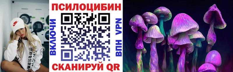 Псилоцибиновые грибы Psilocybe  Купить  Зверево 